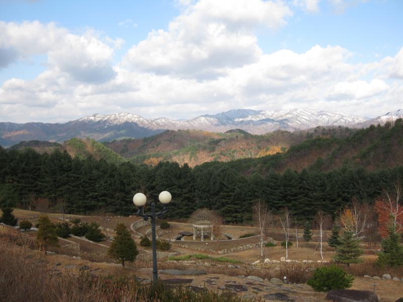 생태식물원 (겨울).JPG